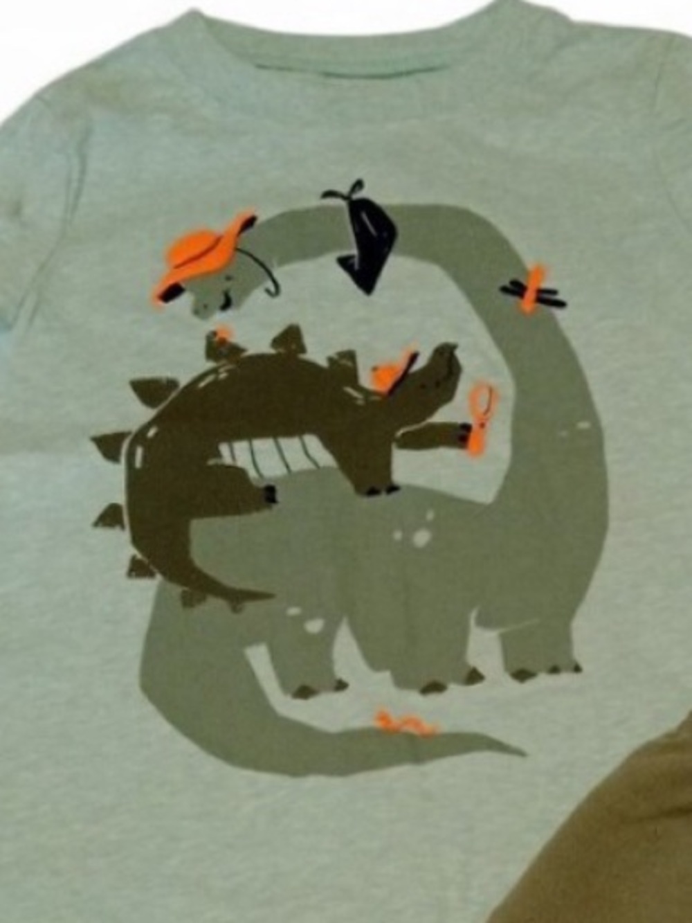 Kids Green Dino Matching Set - Short Sleeve Tee & Shorts